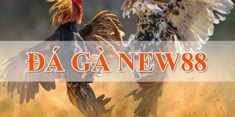 đá gà online trực tiếp
